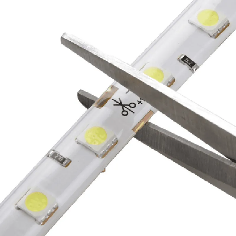24V RGB 5050 SMD LED Strip Flexible 5M/Roll NO Waterproof