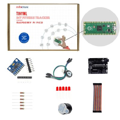 TinyML DIY F...